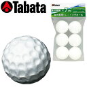 Tabata 【タバタ】 トレーニングボール フォームアップボール GV0306 ゴルフ 練習用 ボール トレーニング アプローチ練習 ウェッジ 練習 その1