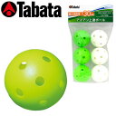 Tabata 【 タバタ 】 トレーニング ボール ホローボール GV0310 ゴルフ 練習用 ボール トレーニング アプローチ 練習 ウェッジ アイアン その1