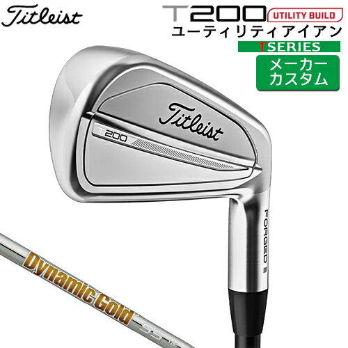 【メーカーカスタム】 タイトリスト [ Titleist ] T20