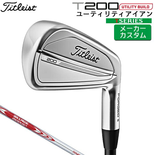 【メーカーカスタム】 タイトリスト [ Titleist ] T20