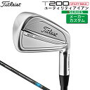 【メーカーカスタム】 タイトリスト [ Titleist ] T20