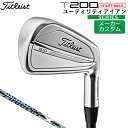 【メーカーカスタム】 タイトリスト [ Titleist ] T20