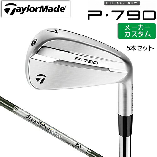 ڥ᡼ ơ顼ᥤ P790 2025  5ܥå(#6-PW)  SteelFiber ե [ ...