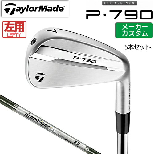 ڥ᡼  ơ顼ᥤ P790 2025  5ܥå(#6-PW)  SteelFiber ե [...