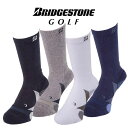 ブリヂストン ゴルフ 3D ベーシック 3D BASIC レギュラー ソックス メンズ SOG313BRIDGESTONE GOLF
