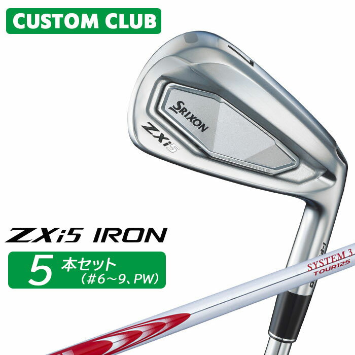 ९ å SRIXON ZXi5   5ܥå(#6-PW) N.S.PRO MODUS3 SYSTEM3 ...