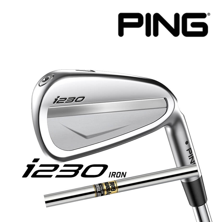 【カスタムフィッティング】 PING [ピン] i230 6本セット 5l～9l PW 右用 Dynamic Gold スチールシャフト[i230 Iron][日本正規品]