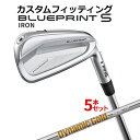 メーカーカスタム ピン BLUEPRINT S 5本セット(6I〜9I、PW) Dynamic Gold 95/105/120 スチールシャフト ブループリント...