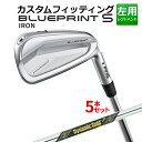 メーカーカスタム ピン BLUEPRINT S 5本セット(6I〜9I、PW) Dynamic Gold MID 115 スチールシャフト ブループリント S ...