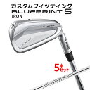 メーカーカスタム ピン BLUEPRINT S 5本セット(6I〜9I、PW) Dynamic Gold AMT TOUR WHITE スチールシャフト ブルー...