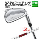 yJX^tBbeBOzs BLUEPRINT S 5{Zbg(6I`9IAPW) KBS TOUR X`[Vtg u[vg S ACA Y p St {Ki PING