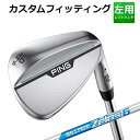 yJX^tBbeBOzs S159 CHROME WEDGE N.S.PRO ZELOS 6 X`[Vtg Y p N[ EFbW St {Ki PING