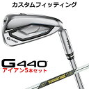 メーカーカスタム ピン G440 アイアン 5本セット(#6-PW) Dynamic Gold MID 115 スチールシャフト メンズ 右用 日本正規品 PI...