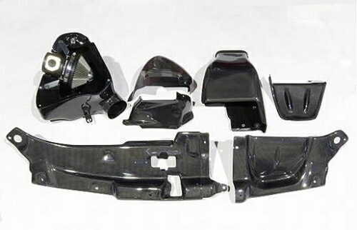 BLITZ CARBON INTAKE SYSTEM トヨタ アルファード 後期 GGH30W/GGH35W用 (27029)【インテーク】【自動車パーツ】ブリッツ カーボンインテークシステム