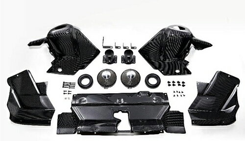 BLITZ CARBON INTAKE SYSTEM �ȥ西 ���ɥ��롼���� VJA300W�� (27032)�ڥ���ơ����ۡڼ�ư�֥ѡ��ġۥ֥�å� �����ܥ�...