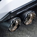 M'z SPEED LUV LINE Exhaust System トヨタ ランドクルーザー 3.3L ディーゼル 3DA-FJA300W用 カーボンテール(2...