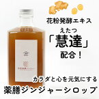 花粉発酵ジンジャーシロップ／薬膳ジンジャーエール 保存料・香料・着色料・食品添加物不使用 抗酸化物質フィトケミカル 有機ゲルマニウム