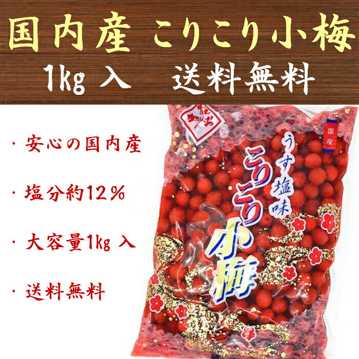 カリカリ梅 国産 こりこり小梅 うす塩味 1kg 業務用 塩分約12％ 送料無料 塩分補給 熱中症