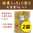 山本食品工業 松甘らっきょう 1kg