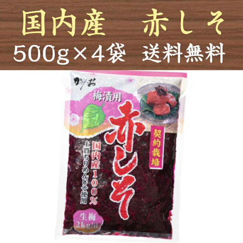 新進 味梅 100gうめぼし　うす塩味　3個　【送料無料】※沖縄・離島へお届けの場合後ほど別途送料計上させて頂きます。