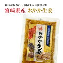 【期間限定 P10倍】おかか生姜 宮崎県産 国産 120g×2袋〜 生姜 ガリ ご飯のお供 ポイント消化 送料無料