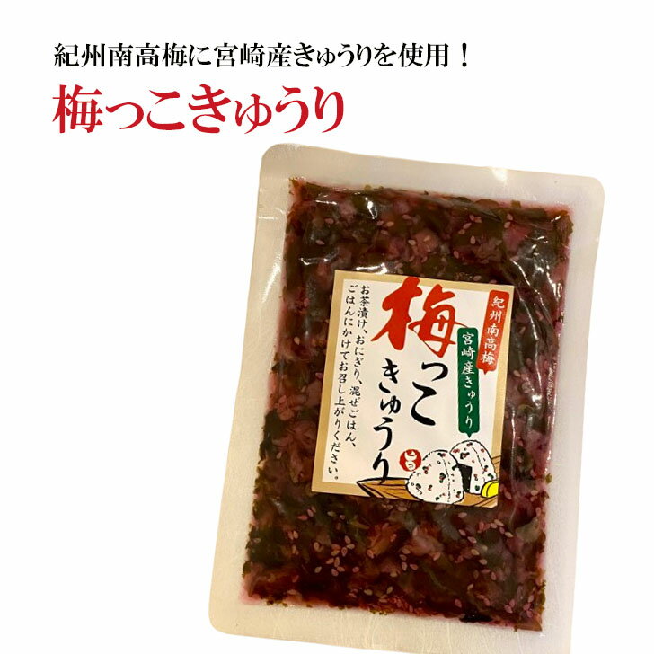 梅っこきゅうり カリカリ梅ときゅうりのきざみ漬け 2袋 紀州南高梅 宮崎産きゅうり 国産 カリカリ梅 ご飯のお供 お茶漬け お茶請け 送料無料 ポイント消化