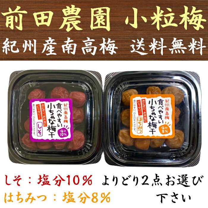 1000円ポッキリ 紀州産南高梅 しそ はちみつ 90g×選べる2点 小粒 梅干し 紀州南高梅 国産 和歌山 ポイント消化 送料無料