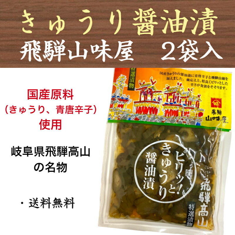 【マラソン限定 P10倍】ピリッと きゅうり醤油漬 飛騨 山味屋 飛騨高山 国産 岐阜 110g 2袋 お土産 送料無料