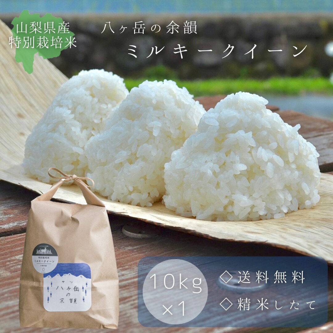 楽天市場】ミルキークイーン 10kg 送料無料(白米|米・雑穀 楽天市場】ミルキークイーン 10kg 送料無料(白米|米・雑穀