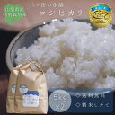 人気ランキング第13位「八ヶ岳の余韻」口コミ数「0件」評価「0」【令和5年産】 新米 八ヶ岳の余韻 特別栽培米 コシヒカリ 5kg×2　お米 白米 山梨県産 八ヶ岳 小淵沢 お米日本一コンテスト最高金賞受賞米 国産 美味しいお米 精米したて 減農薬 有機肥料使用 産地直送 送料無料