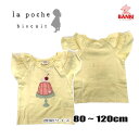 y40OFFz[։ ĕV @lp23es102@{[X[u@TVc La poche biscuit @|VFrXLC q @80cm`120cm