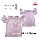 y40OFFz[։ ĕV @lp23ms004@ԃvgJ TVc La poche biscuit @|VFrXLC q @80cm`120cm