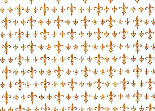 包装紙 セントラル 全判