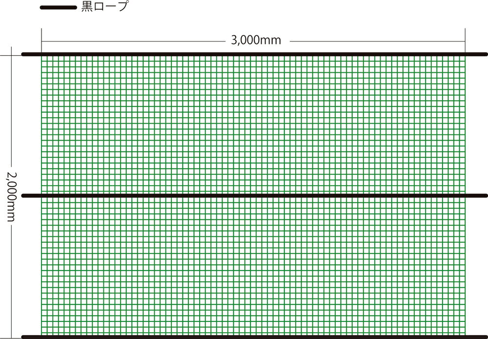 防鳥ネット グリーン 2mx3m 12mm網目