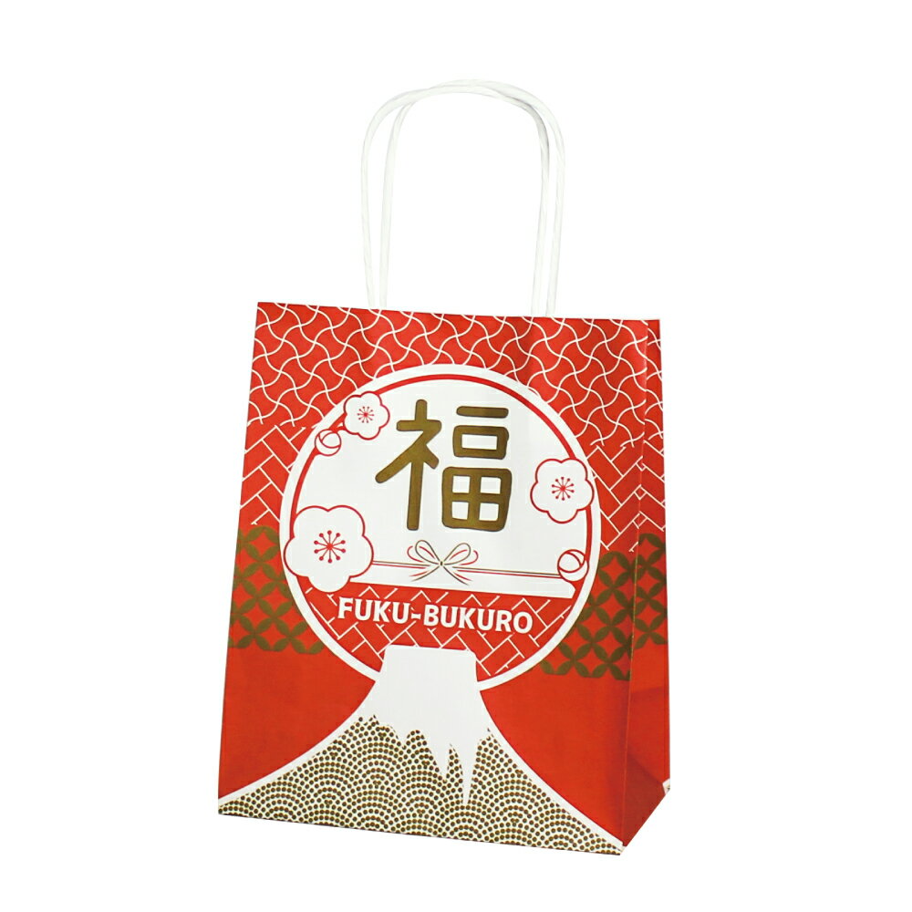 紙袋 手提げ 福袋 【 T-2 Mt.福 】使いやすい25枚入