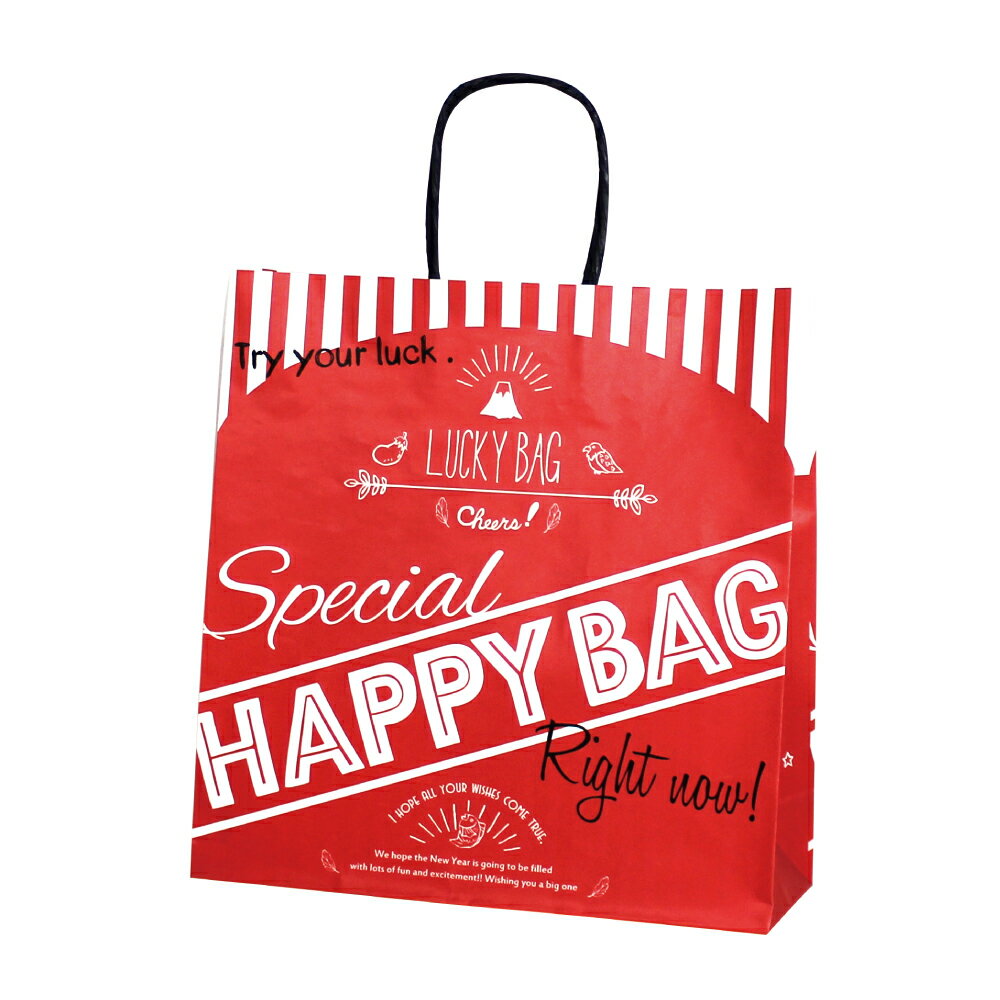 紙袋 手提げ 【紙手提げ袋 T-6 HAPPY BAG】使いやすい50枚入り 業務用 福袋