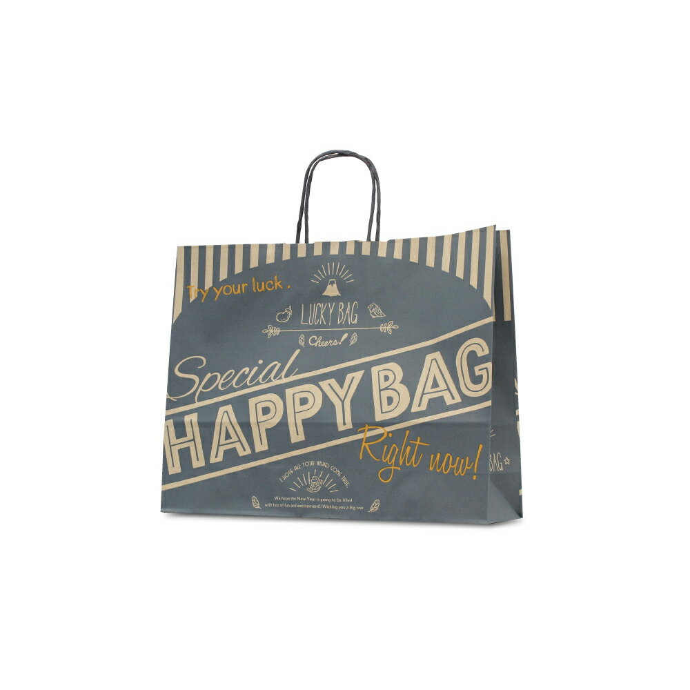 紙袋 手提げ 【紙手提げ袋 T-Y HAPPY BAG　ネイビー】使いやすい50枚入り 業務用 福袋