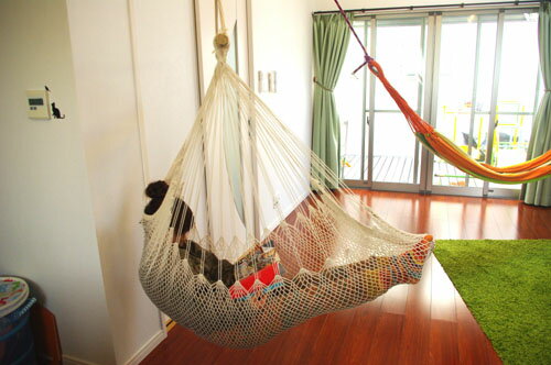 室内 屋外 寝具 アジアン雑貨 バリ ♪チェアハンモック スタータセット全2色♪ おしゃれ エスニック インテリア雑貨 デザイン雑貨 アウトドア キャンプ グランピング レジャー通販格安セール情報 楽天 通販