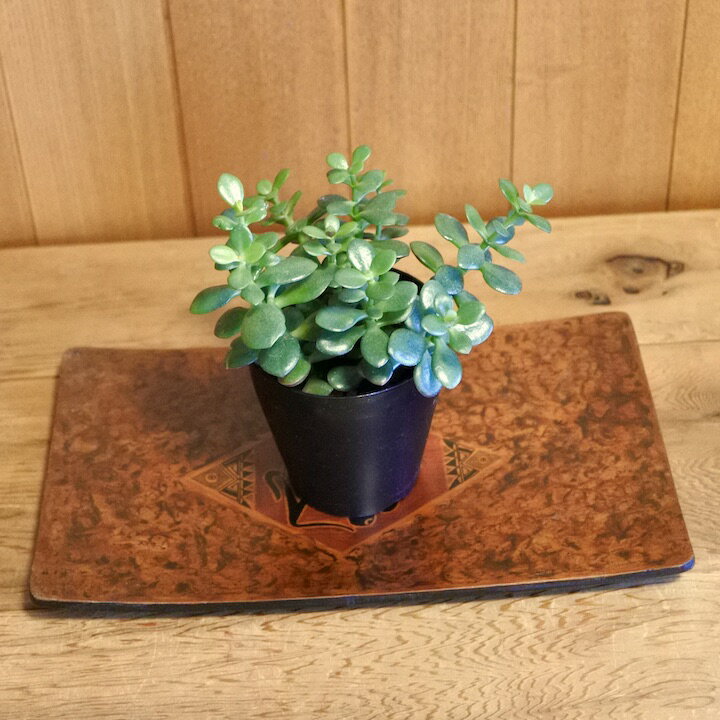 ◎10%OFFスーパーSALE◎★レビューで特典★アジアン バリ 雑貨 ♪ロンボクウッドトレイ(トカゲ)♪ インテリア おしゃれ エスニック インテリアトレイ 小物入れ 鍵置き バリ風 リゾート [2]