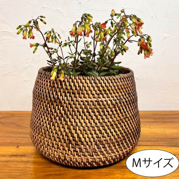 ラタンコロンバスケット（Mサイズ