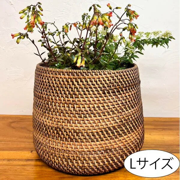 ★レビューで特典★ラタンコロンバスケット（Lサイズ）♪ 鉢カバー 観葉植物入れ 小物入れ インテリア おしゃれ ナチュラル カフェ リゾート ホテルライク トライバル