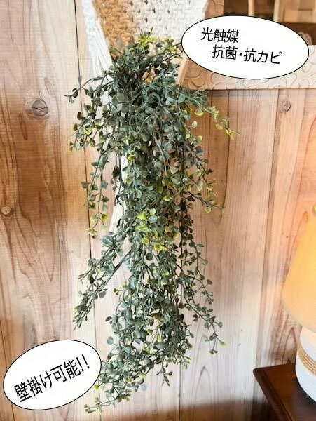 Rakuten - GW限定P5倍 模様替え 新生活 | グリーンブッシュ ミニシェルリーフ 光触媒（全長68cm）♪ フェイクグリーン 吊り下げ 壁掛け 人口観葉植物 抗菌 除菌 消臭 防カビ インテリア おしゃれ ナチュラル カフェ リゾート ホテルライク トライバル