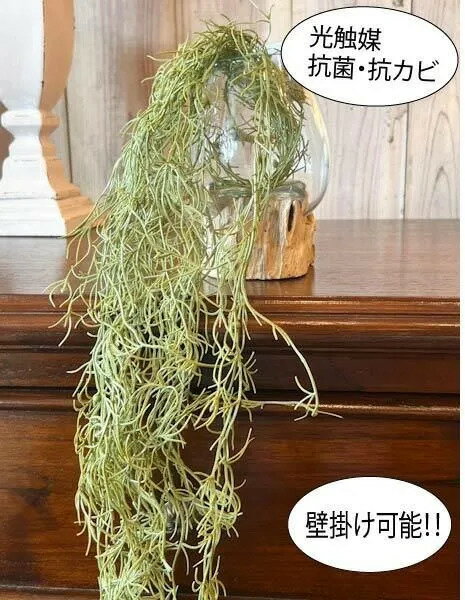 楽天市場】フェイクグリーン グリーンブッシュの通販