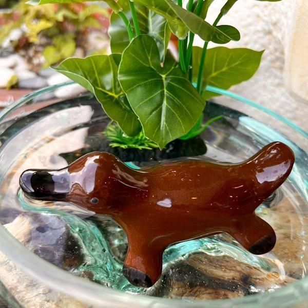 楽天市場】水 に 浮く 陶器の通販