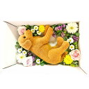 ペット 棺 ドライアイス付 【 お棺 防水シート ドライアイス10kg お見送り布団3点セット 】 S~M 小型犬 猫 うさぎ 14:00注文で 当日出荷 白無地 段ボール箱 ひつぎ 葬儀 お別れ そのまま火葬 お棺:55cm×36cm高さ28cmまで可変 防水シート付 枕 敷布団 掛布団3点セット