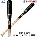 ミズノ MIZUNO 野球 木製 メイプル 1CJWH17515 プロフェッショナル BFJマーク 84cm 記念品 プレゼント ybc