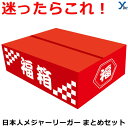 日本人メジャーリーガー グッズ 福袋 福箱 セット 2025 数量限定 記念グッズ ファン必見 応援グッズ MLB メジャーリーグ シークレット お楽しみ袋 お得セット プレゼント ギフト 野球 ファングッズ