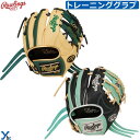 野球 刺繍サービス ローリングス Rawlings 硬式 硬式グローブ トレーニング用 GAMER TRAINING 右投げ 左投げ 大人 一般用 GH5GTK...