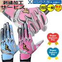 野球 ソフトボール 一般用 刺繍サービス 2025年 母の日・父の日限定カラー ミズノプロ MIZUNOPRO シリコンパワーアークDI 大人用 天然皮革 両手...