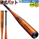 ZETT 一般硬式バット 新基準対応 金属バット ZettPower ミドルヘッドバランス BAT11383C BAT11384C 高校野球対応 900g以上 公式戦使用可能 ybc 2025 プレゼント